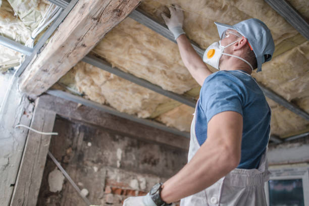 Professional Insulation Contractor in IA