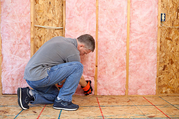 Types of Insulation We Offer in IA